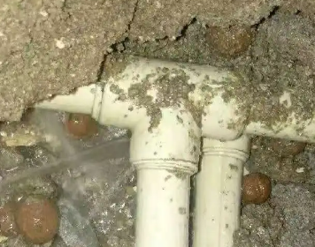 弋阳测漏水多少钱