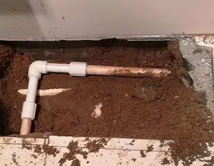 弋阳测漏水哪家好