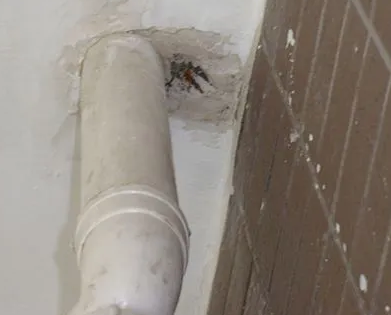 弋阳漏水检测哪家好